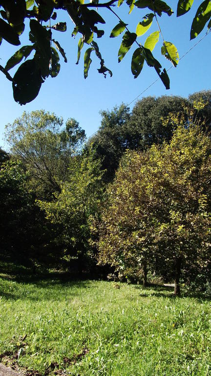 Can Salgueda 산타 파우 객실 사진